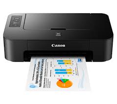 Canon PIXMA TS207 Printer
