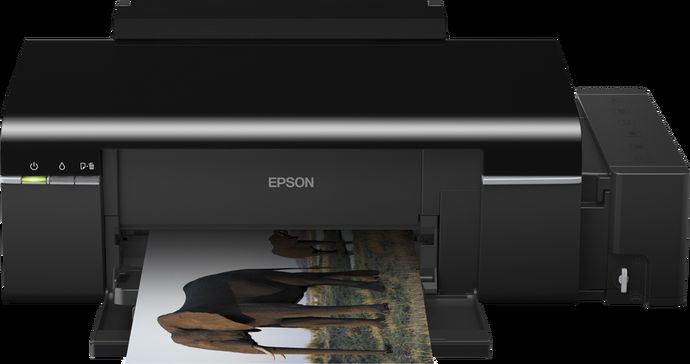 Epson L800 printer