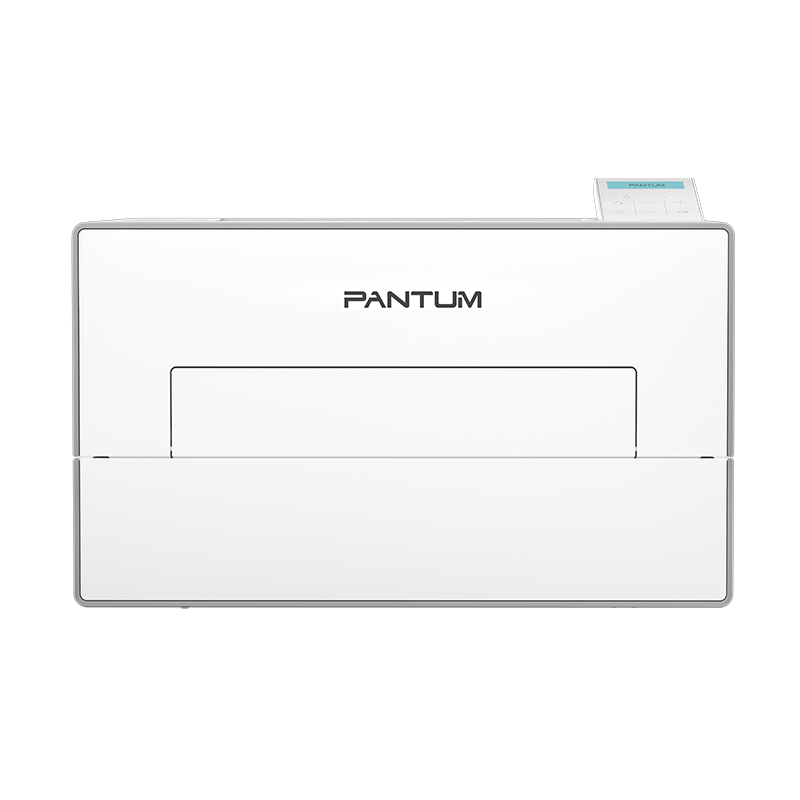 Pantum BP4200D Mono laser single function printer-Efficient Pro Series