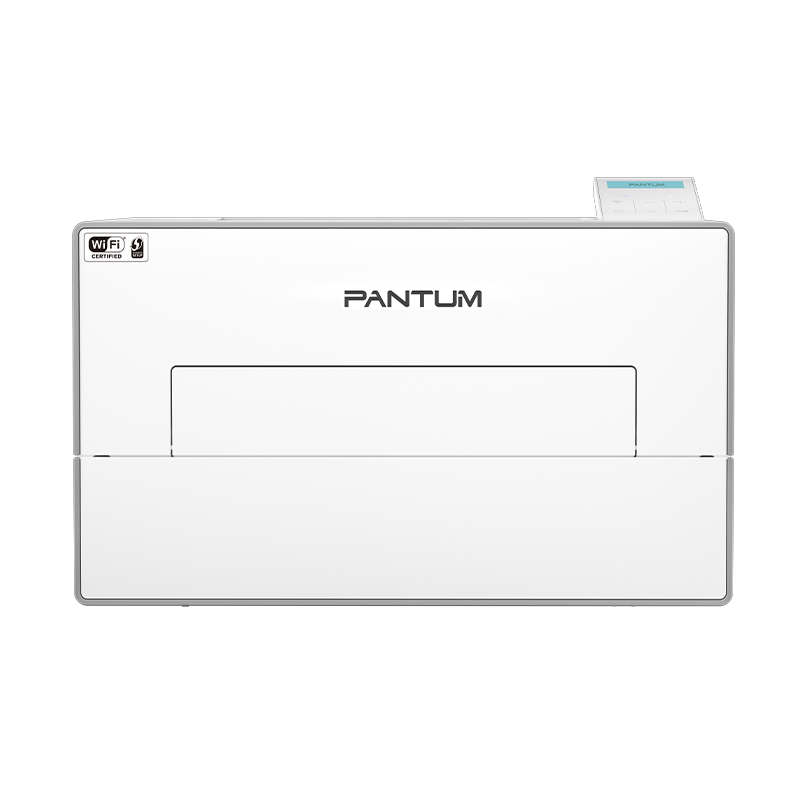 Pantum BP4200DW Mono laser single function printer-Efficient Pro Series